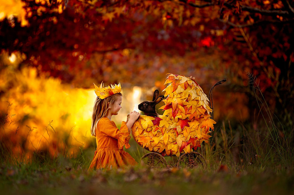 Fine art photography